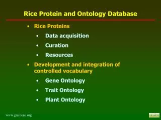Rice Proteins Data acquisition Curation Resources