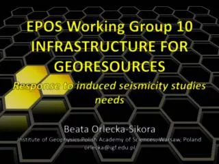 EPOS Working Group 10 INFRASTRUCTURE FOR GEORESOURCES