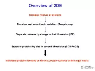 Overview of 2DE