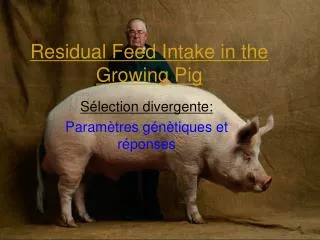 residual feed intake in the growing pig