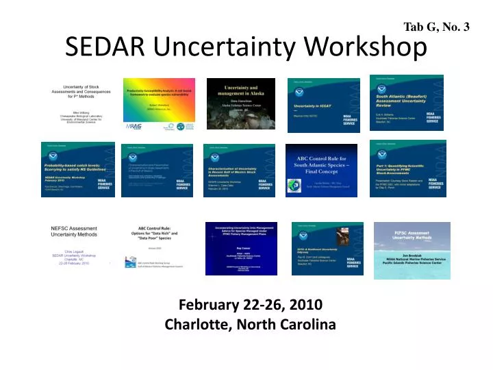 sedar uncertainty workshop