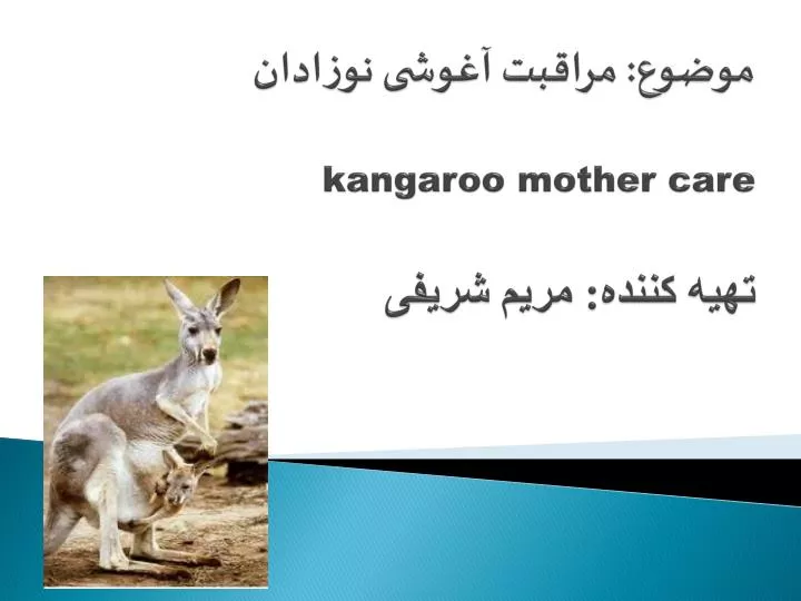 kangaroo mother care
