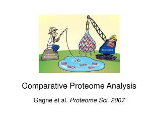 Comparative Proteome Analysis