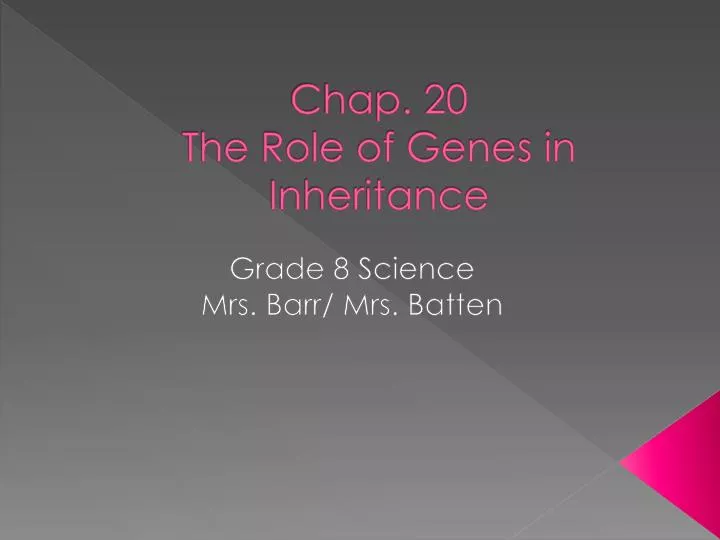 chap 20 the role of genes in inheritance