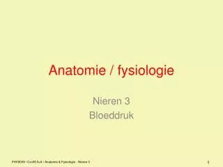 anatomie fysiologie