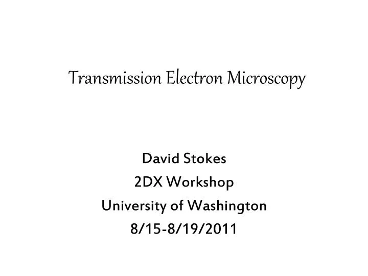 transmission electron microscopy