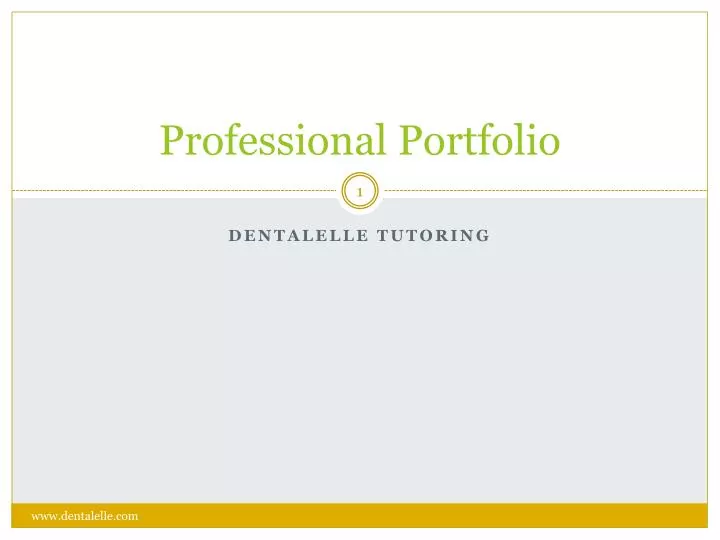 professional portfolio