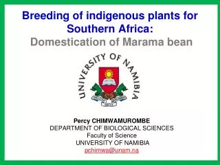 Breeding of indigenous plants for Southern Africa: Domestication of Marama bean