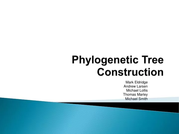 phylogenetic tree construction