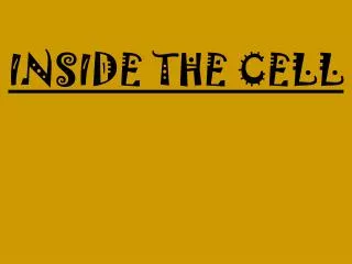 inside the cell
