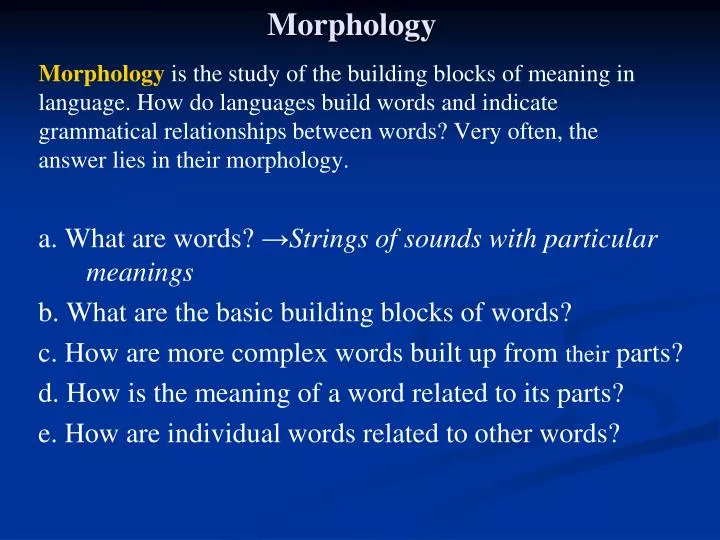 morphology