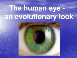 The human eye - an evolutionary look