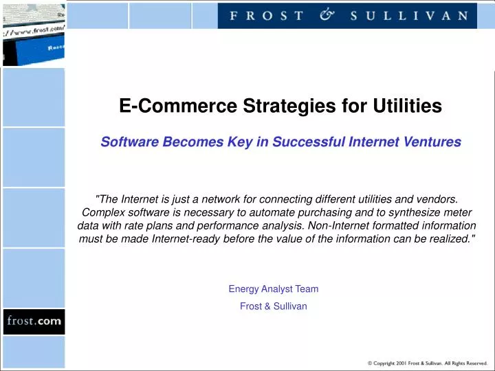 e commerce strategies for utilities software becomes key in successful internet ventures