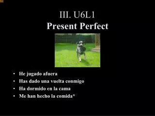 III. U6L1 Present Perfect