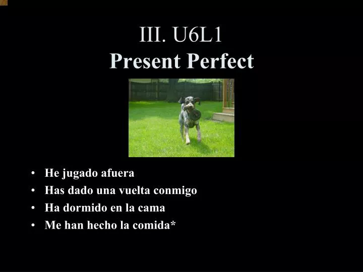 iii u6l1 present perfect
