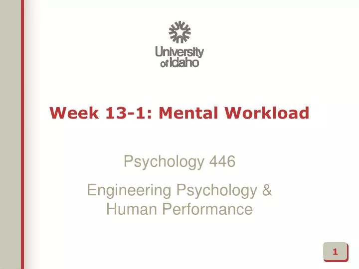 week 13 1 mental workload