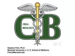 Stephen Fish, Ph.D. Marshall University J. C. E. School of Medicine Fish@Marshall