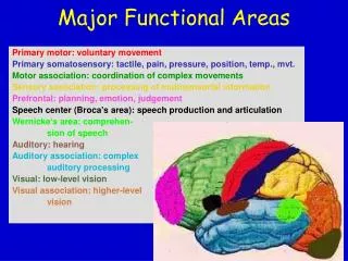 Major Functional Areas