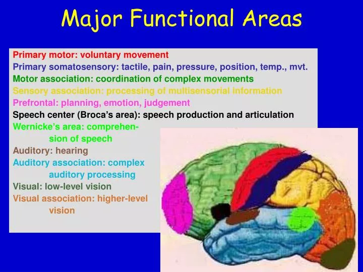 major functional areas