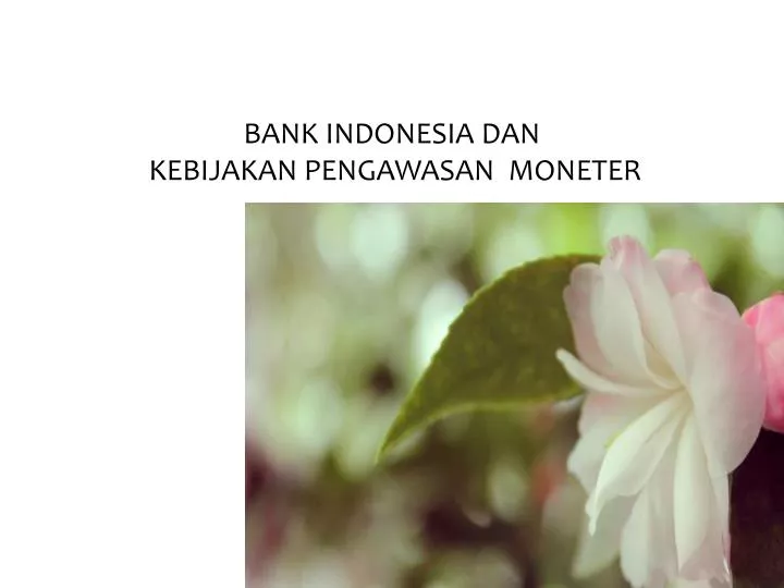 bank indonesia dan kebijakan pengawasan moneter