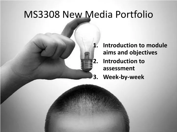 ms3308 new media portfolio