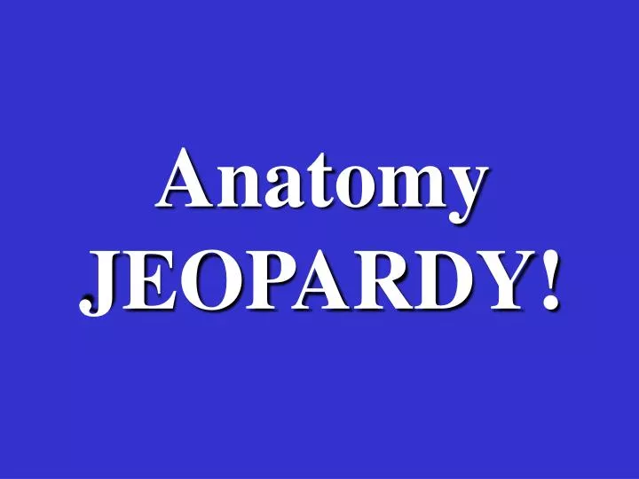 anatomy jeopardy