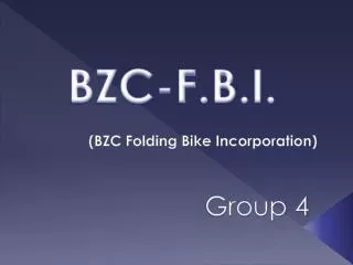 (BZC Folding Bike Incorporation)