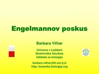 engelmannov poskus