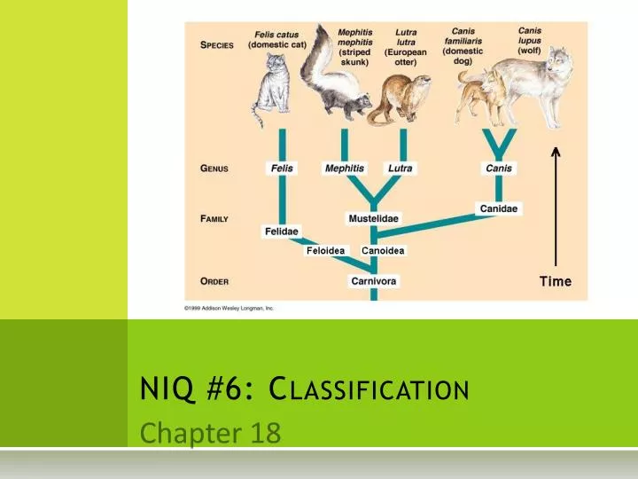 niq 6 classification