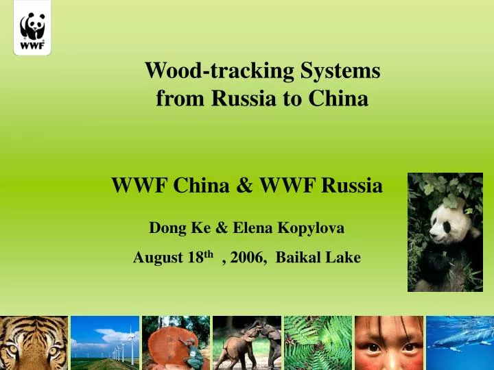 wood tracking systems from russia to china