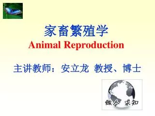 animal reproduction