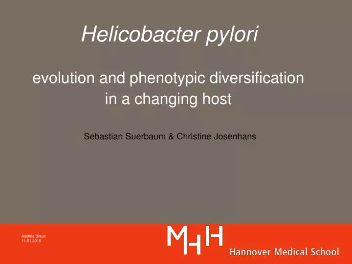 helicobacter pylori evolution and phenotypic diversification in a changing host