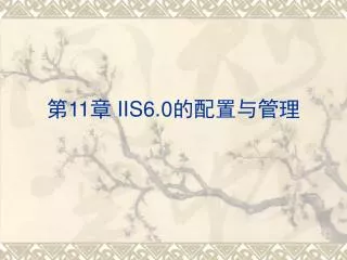 11 iis6 0