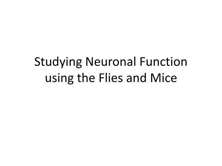 studying neuronal function using the flies and mice