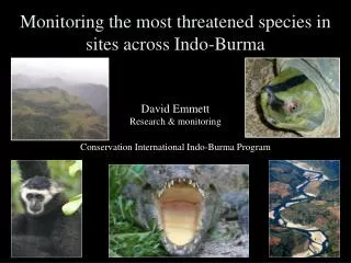 Monitoring the most threatened species in sites across Indo-Burma