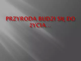 przyroda budzi si do ycia