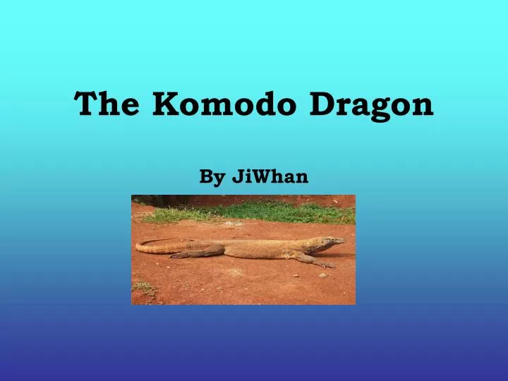 the komodo dragon by jiwhan