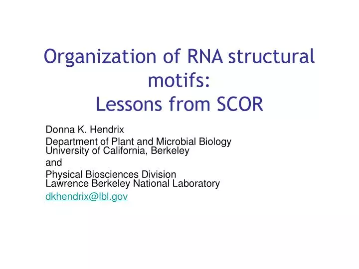 organization of rna structural motifs lessons from scor