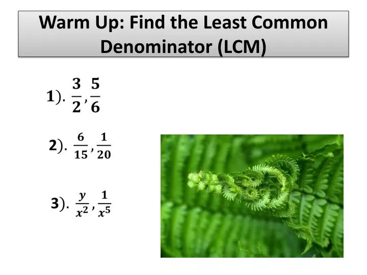 warm up find the least common denominator lcm