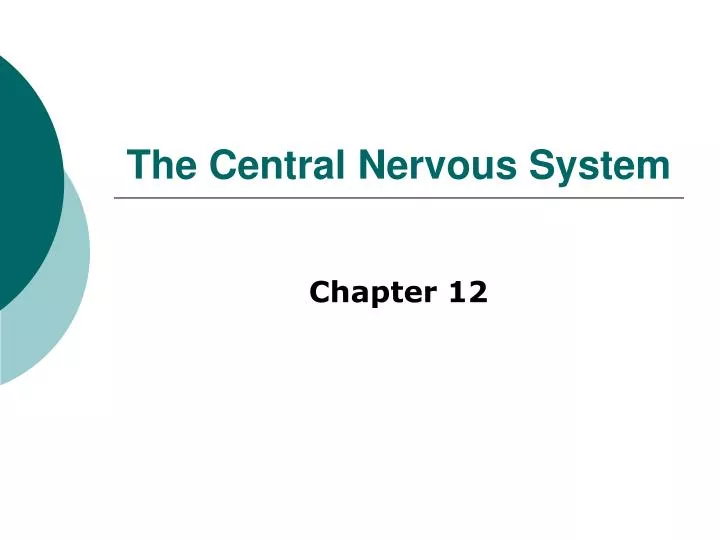 the central nervous system