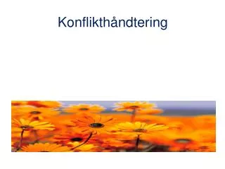 konflikth ndtering