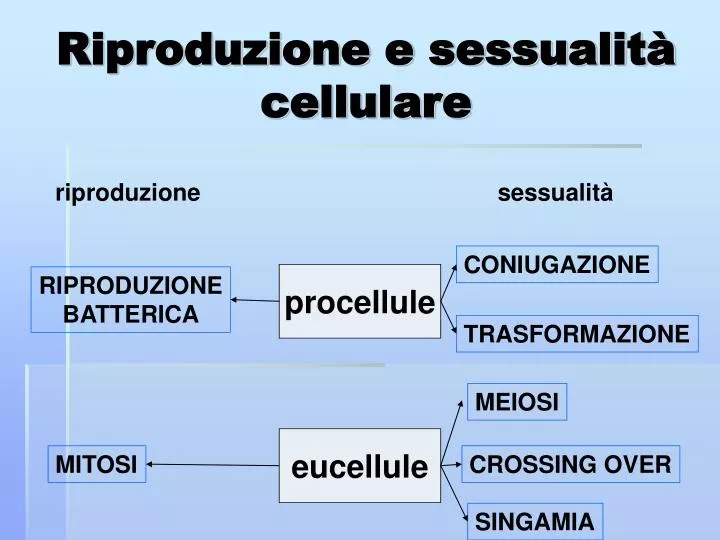 riproduzione e sessualit cellulare