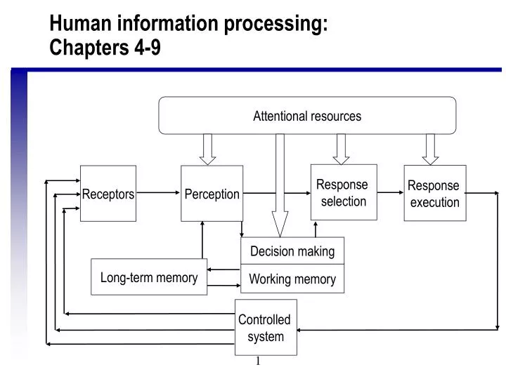 human information processing chapters 4 9