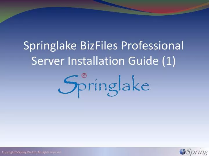 springlake bizfiles professional server installation guide 1