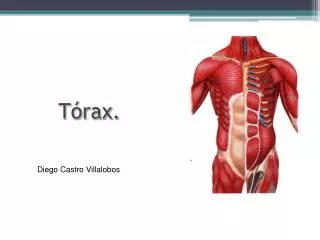 t rax