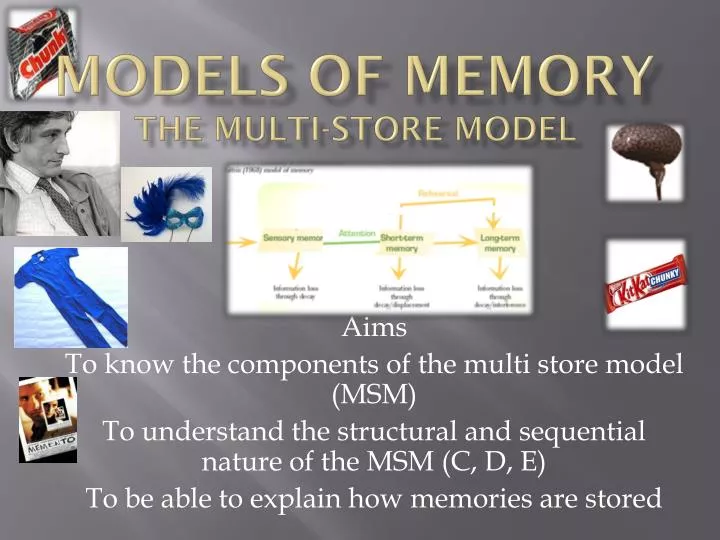 models of memory the multi store model