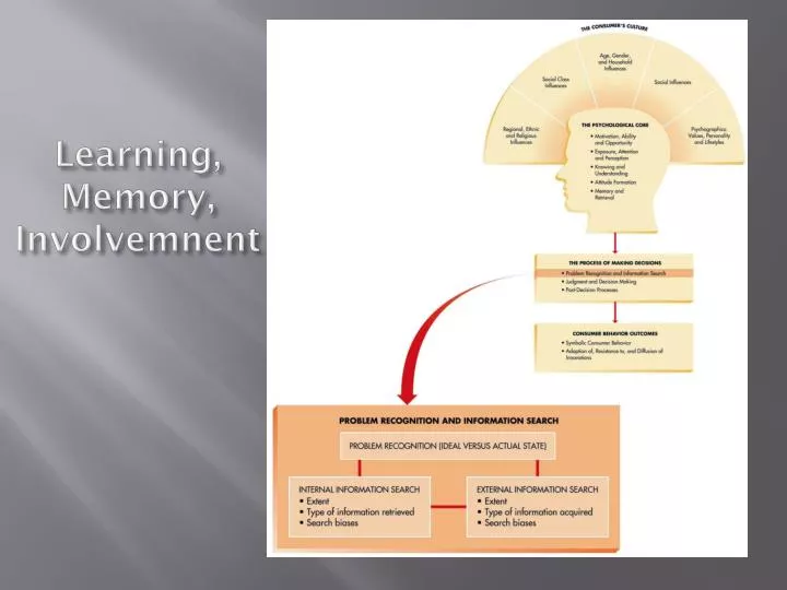 learning memory involvemnent