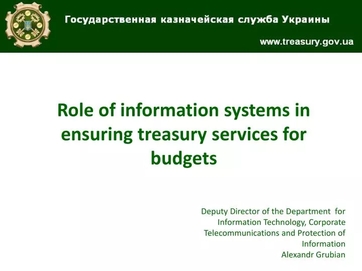 role of information systems in ensuring treasury services for budgets