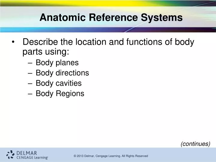 anatomic reference systems