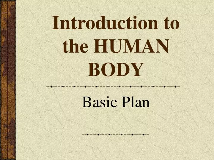 introduction to the human body
